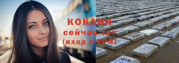 мдпв Магас